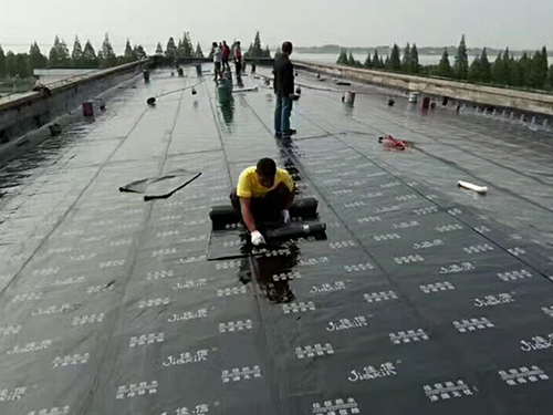 真空包裝機(jī)